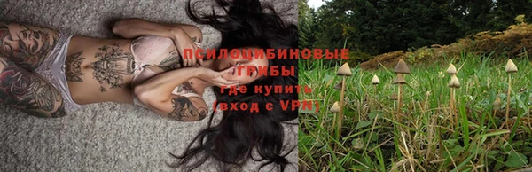 МДПВ Абдулино