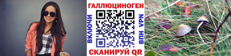 Псилоцибиновые грибы Cubensis  купить закладку  MEGA ССЫЛКА  Тырныауз 